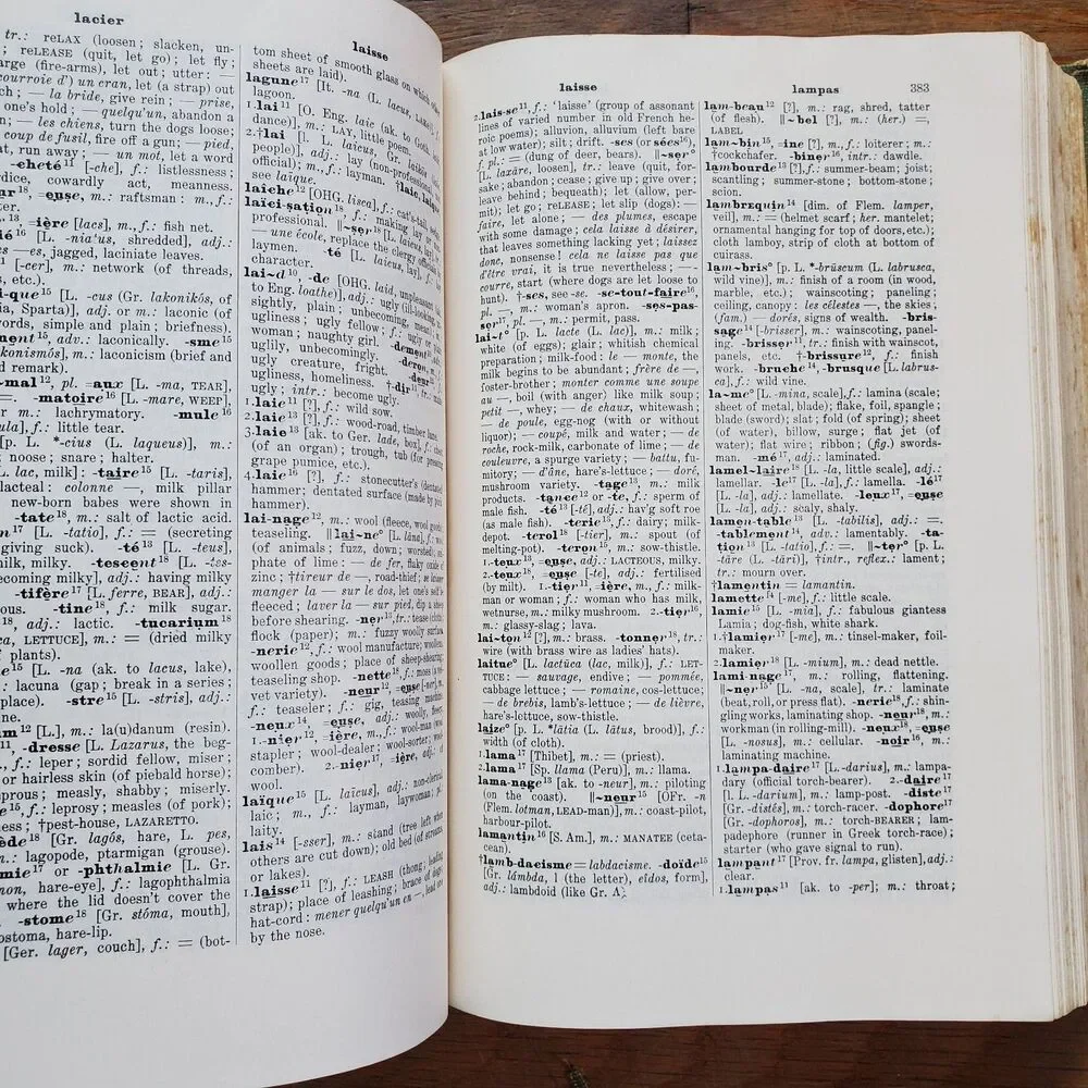 Edgren and Burnet's French Dictionary A French and English dictionary vintage
